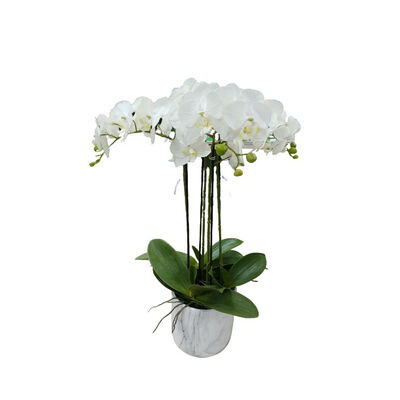 Arreglo Artificial Orchid Withe Vintage Home