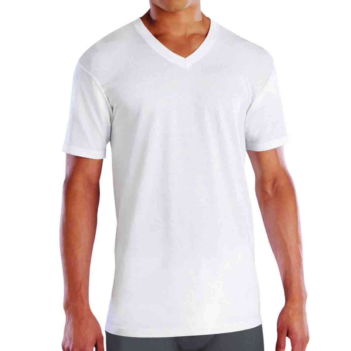 Playera De Algod&oacute;n Premium Ultra Suave Cuello V Paquete De 3 Fruit Of The Loom image number null
