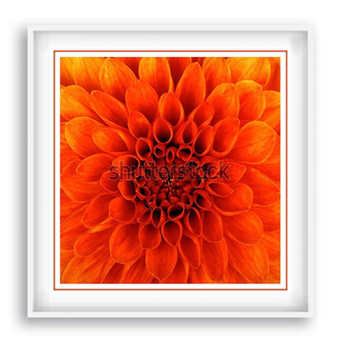 Cuadro Madesa Flor Naranja Ii 62x62 image number null
